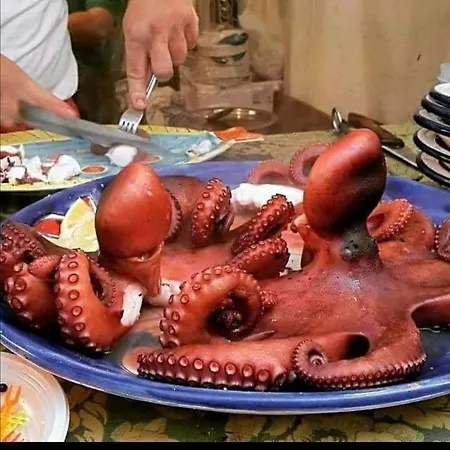 Casa Vacanza Al Massimo